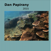 Album 2015 by Dan Papirany