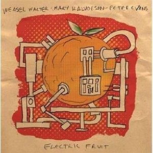 Read "Weasel Walter / Mary Halvorson / Peter Evans: Electric Fruit" reviewed by Clifford Allen